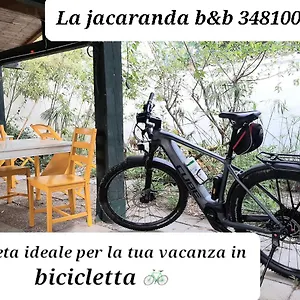 La Jacaranda Affittacamere